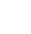 NT logo